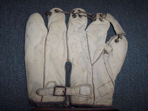 Softball Glove G31 Back